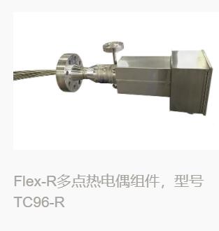 Flex-R多點(diǎn)熱電偶組件，型號(hào)TC96-R