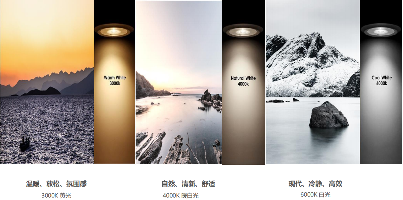 【設(shè)計(jì)案例】普照國康醫(yī)藥辦公室項(xiàng)目概念設(shè)計(jì)——以空間敘事，筑品牌基因(圖26)