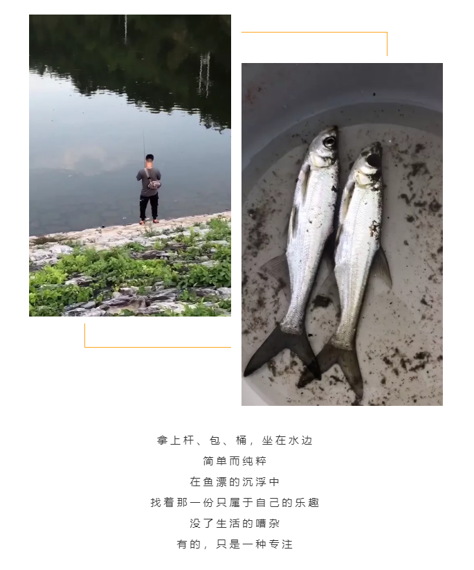 秋天了，來(lái)一場(chǎng)成年人的秋游吧(圖5)