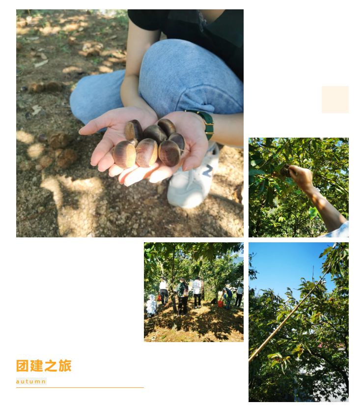 秋天了，來(lái)一場(chǎng)成年人的秋游吧(圖6)